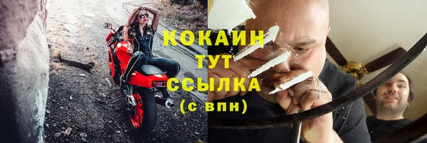 винт Инта